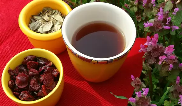 Чай из ягод и листьев брусники для здоровых мочевых путей