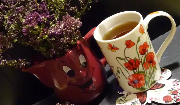Чай из орегано (Origanum vulgare)