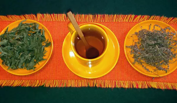 Чай из мяты для регулирования желудочной деятельности