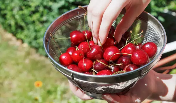 Top 18 продуктов для ускорения метаболизма