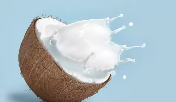 Кокос и кокосовое молоко
