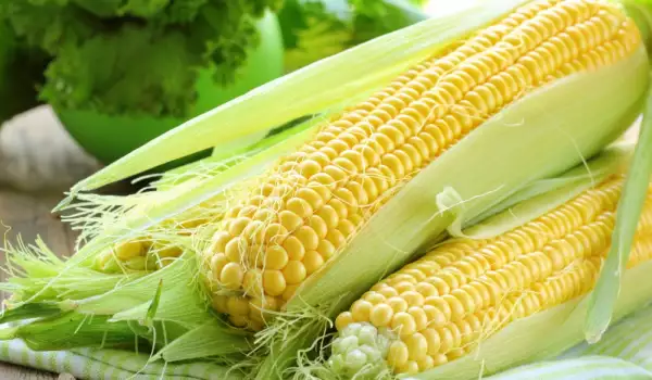Как хранить кукурузу в морозилке?