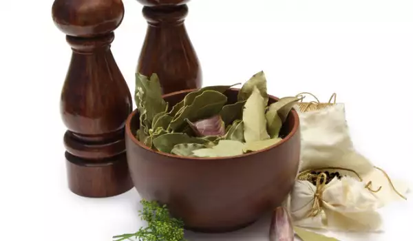 Лавровый Лист