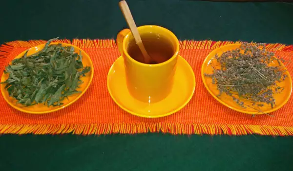 Чай из мяты для регулирования желудочной деятельности