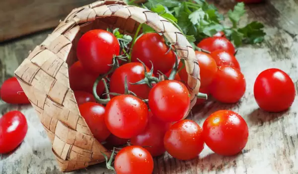 Целебные свойства помидоров