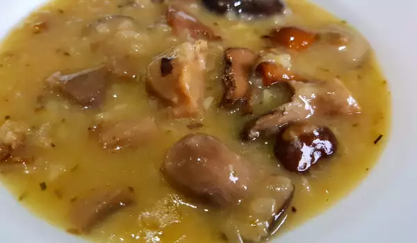 Грибной мясной соус с лисичками, шиитаке и белыми грибами