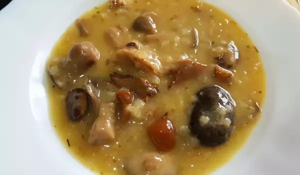 Грибной мясной соус с лисичками, шиитаке и белыми грибами