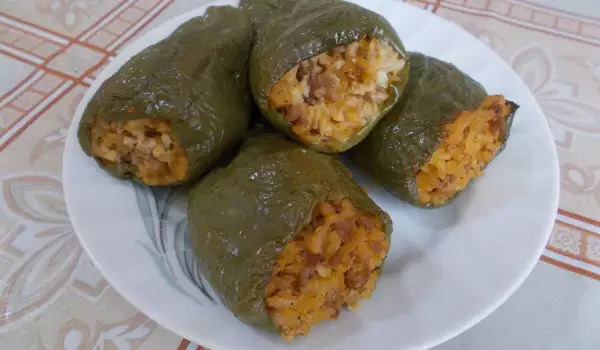 Классический фаршированный перец с рисом и мясным фаршем