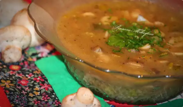 Крем-суп из грибов и сметаны