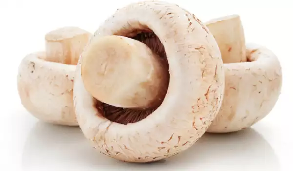 Сколько можно хранить грибы в холодильнике?