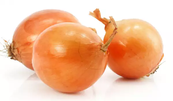 Лук