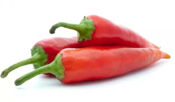 Top 18 продуктов для ускорения метаболизма