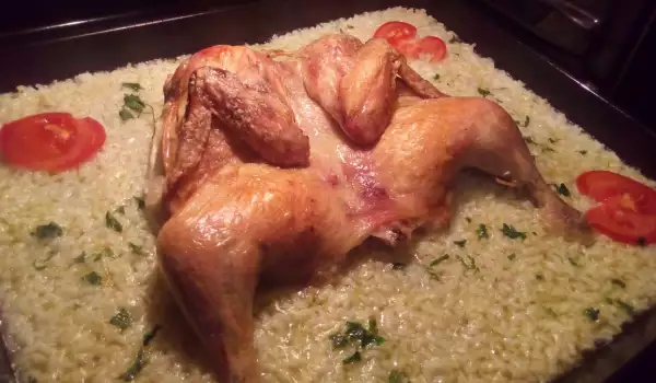 Цыпленок, запеченный целиком в духовке с рисом