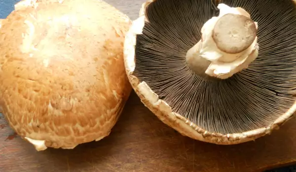 Фаршированные грибы Портобелло