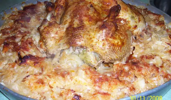 Домашняя курица, фаршированная греческими голубцами, с квашеной капустой