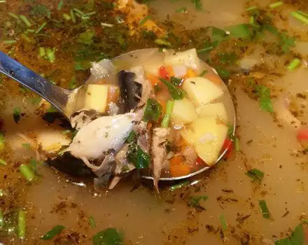 Традиционный рыбный суп с девясилом