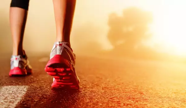 Сколько калорий сжигается при ходьбе пешком?
