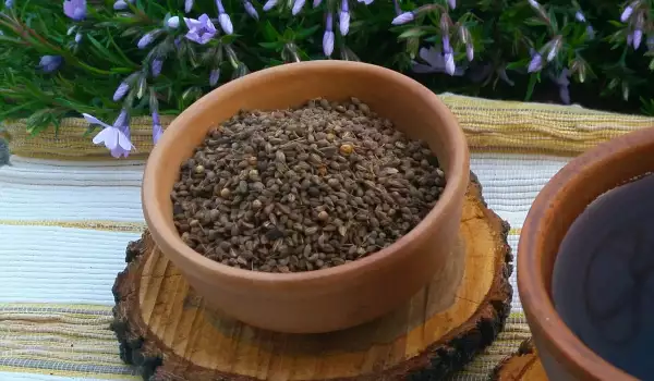 Чай из семян аниса от респираторных заболеваний