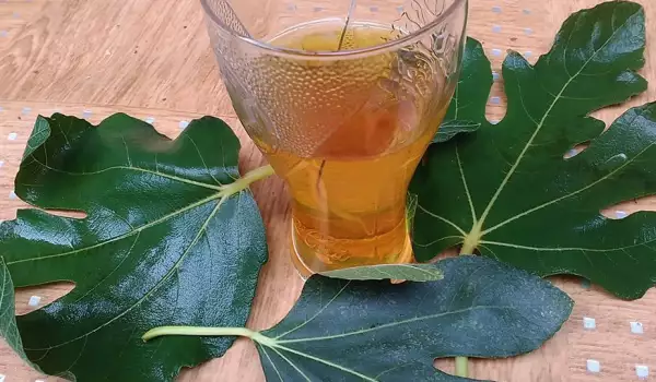 Сироп из листьев инжира