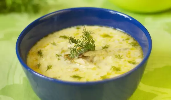 Суп из кабачков с укропом