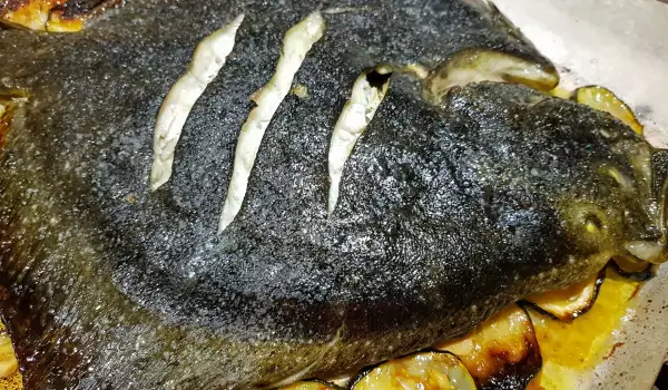 Цельный палтус в духовке с кабачками и чесноком