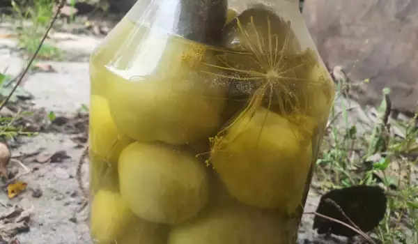 Зеленые помидоры на зиму