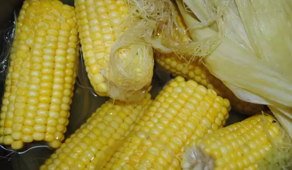Вареная кукуруза в скороварке