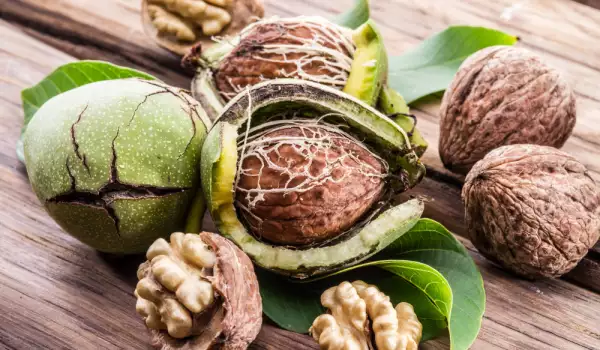 Зеленые грецкие орехи - польза и применение