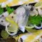 Соленая маринованная скумбрия