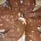 Очень вкусная сладкая колбаска