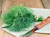 Как хранить свежий укроп?