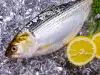 Сколько можно хранить рыбу в холодильнике и в морозилке?