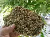 Полезные крекеры из семян без муки