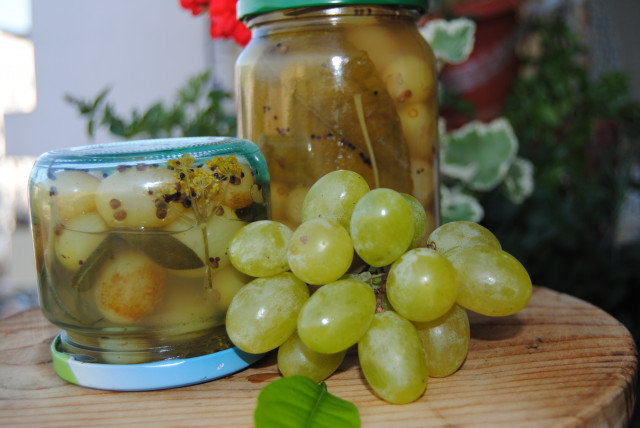 Соленье из маринованного белого винограда