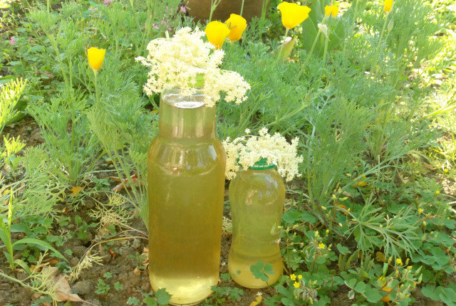 Домашний сок из цветов бузины