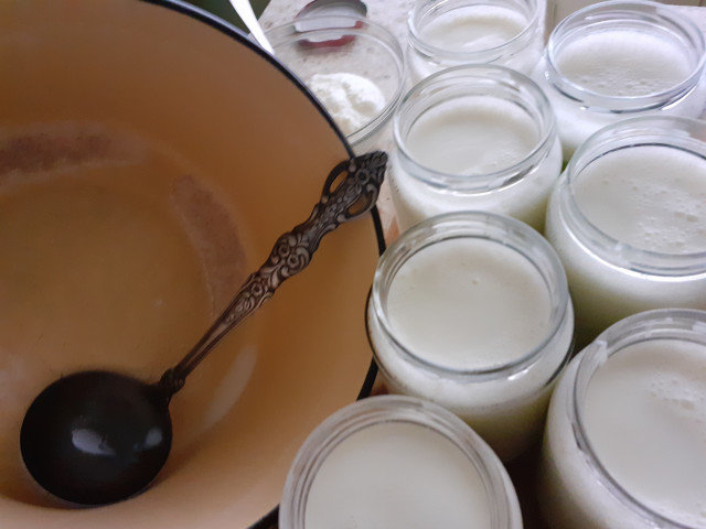 Подквашивание домашнего молока