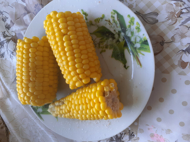 Вареная кукуруза в початках